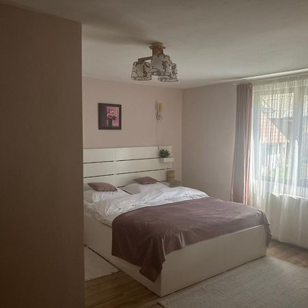 Vila Monica Bran  Zewnętrze zdjęcie