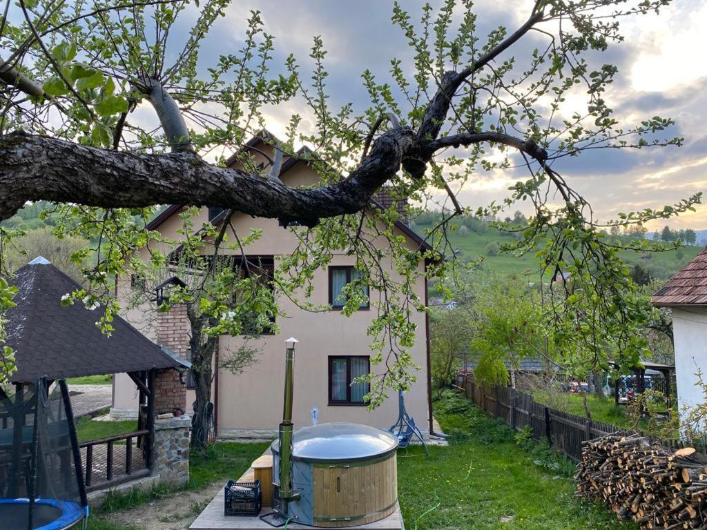 Vila Monica Bran  Zewnętrze zdjęcie