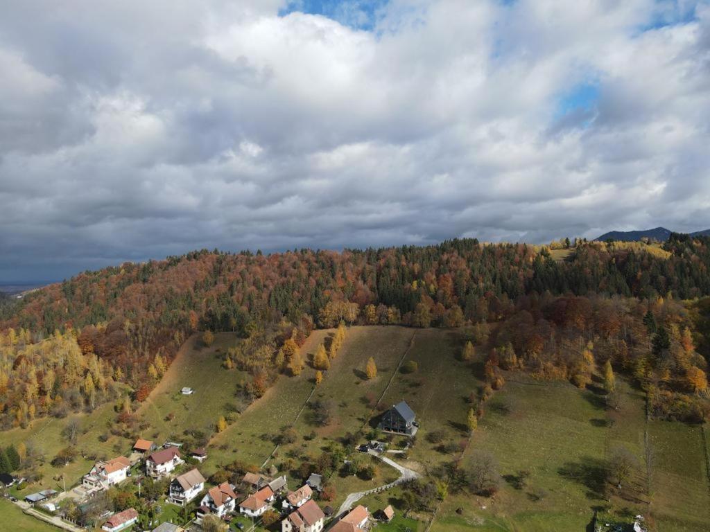 Vila Monica Bran  Zewnętrze zdjęcie
