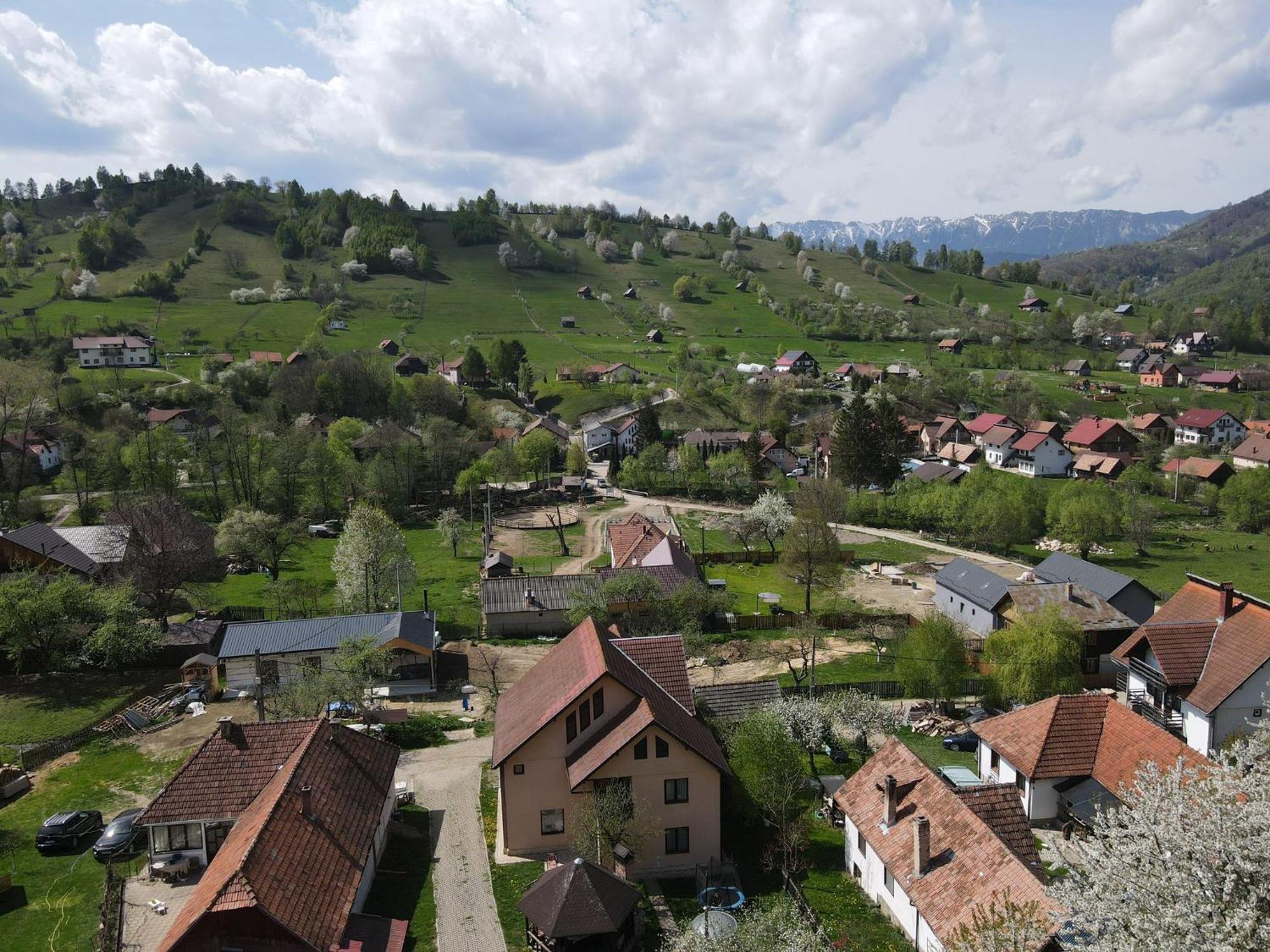 Vila Monica Bran  Zewnętrze zdjęcie