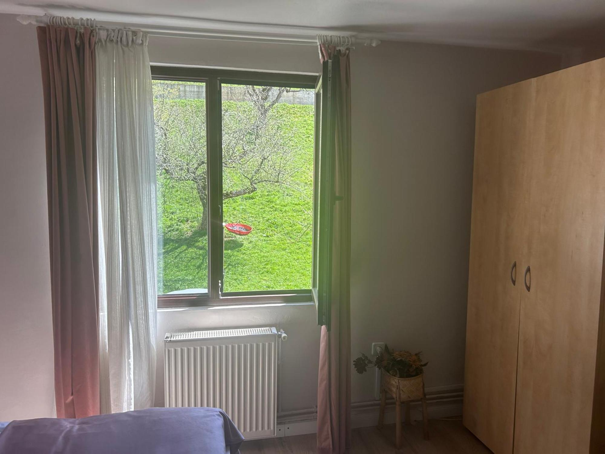 Vila Monica Bran  Zewnętrze zdjęcie